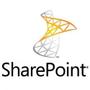 MICROSOFT MS OPEN-NL SharePointStdCAL 2016 DvcCAL