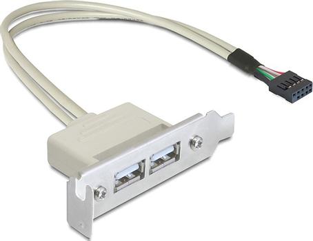 DELOCK intern kabel för USB 2.0, IDC10 ha - 2xUSB 2.0 A ho, 0,5m (83119)