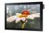 SAMSUNG 10" LED Public Display DB10E-T 16:10 1280x800, 400 nits, 5-point touch, Speaker, Wifi, HDMI