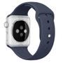 APPLE LA 42MM MN BLUE SPORT W/SST PIN SM/ML