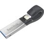 SANDISK iXpand Flash Drive 256GB USB iPhone (SDIX30N-256G-GN6NE)