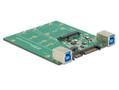 DELOCK DeLOCKSATA/USB3.1 omvandlare, 1xM.2SATA eller 1xmSATA, USB 3.1 gen 2