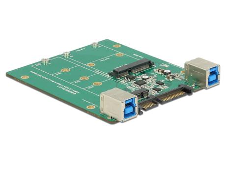 DELOCK DeLOCKSATA/ USB3.1 omvandlare,  1xM.2SATA eller 1xmSATA, USB 3.1 gen 2 (62732)