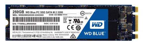 WESTERN DIGITAL WD Blue PC SSD WDS250G1B0B - Solid state drive - 250 GB - internal - M.2 2280 - SATA 6Gb/s (WDS250G1B0B)