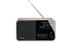 GRUNDIG DTR 3000 DAB+ Rosegold F-FEEDS