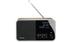 GRUNDIG DTR 3000 DAB+ Champagn F-FEEDS