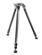 GITZO Tripod Systematic Exact GT3533LS Serie 3 Carbon Fiber (GT3533LS)