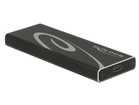DELOCK Gehäuse Delock USB3.1 für M.2 NGFF SSDs schwarz (42573)