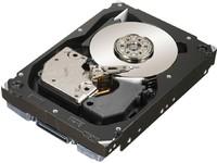 LENOVO 73Gb Harddrive Dasd (FRU03N6347)