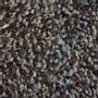 MATTING Matta MATTING classic 85x150cm sl. grey