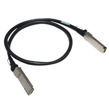 Hewlett Packard Enterprise 2M 100GB QSFP28 OPA COPPERCAB                                  IN ACCS (830024-B24)