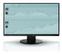 EIZO 23IN LED 1920X1080 5MS EV2450WFS3-BK 1000:1 HDMI IN MNTR