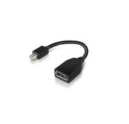 LENOVO Mini DisplayPort Male to DisplayPort Female Cable