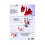 OLYMPIA 1x25 Laminating pouches DIN A4 80 micron
