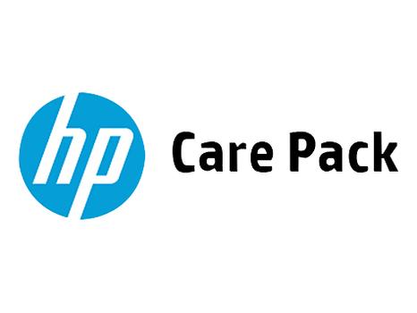 HP Inst SVC w/nw Workgroup Printer (U9JT2E)