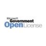 MICROSOFT MS OVL-GOV O365 Extra File Storage Open Shared 1 License Additional Product 1 Month