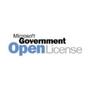 MICROSOFT MS OVL-GOV O365 Extra File Storage Open Shared 1 License Additional Product 1 Month