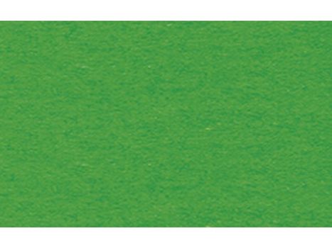 URSUS Fotokartong URSUS 50x70 300g gressgrønn (38822-58 W/EAN*10)