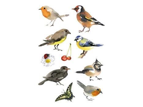 HERMA Etikett HERMA dekor fugler vannfarget (3351*10)
