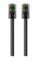 BELKIN Verbindingskabel - RJ-45 (M) naar RJ-45 (M) - 1 m - CAT 6 - zonder haken