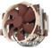 NOCTUA NH-D15 SE-AM4 CPU Kjøler AMD AM4, 300~1500 RPM, 140,2 m³/h, 19~24 dBA