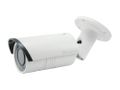 LEVELONE FIXED NW CAMERA 2MP DAY/NIGHT OUTDOOR IR LEDS WDR    IN CAM (FCS-5059)
