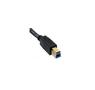 TANDBERG USB3.0 Y-TYPE CABLE 1.5M CONNECTOR A-B SINGLE PACK CABL (1021742)