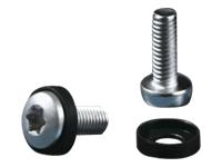 RITTAL EL Torx-ruuvi M5x16 mm (7094130)