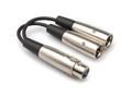 NEUTRIK Hosa Adapter XLRF - 2xXLRM XLR Hun til 2xXLR Han