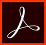 ADOBE ACROBAT PRO DC FOR ENT 1 USER/LVL 1 1-9                 IN LICS