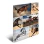 HERMA Horses 3-folds mappe A4 (210 x 297 mm) Horses 