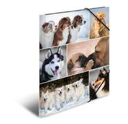 HERMA Sammelmappe A4 Hunde Pappe