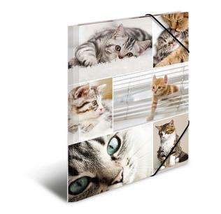 HERMA Sammelmappe A4 Katzen Pappe (19212)