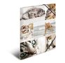 HERMA Elasticated folder A4 cardboard cats