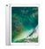 APPLE iPad Pro 12,9 256GB (2nd Gen) Silver (MP6H2KN/A)