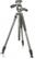 VANGUARD Alta Pro2+ 263AP F-FEEDS