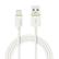 LEITZ 3.1 USB-C to USB-A Charg-