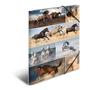 HERMA Sammelmappe A3 Pferde Pappe