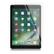 PANZER iPad Pro 10.5, Tempered Glass