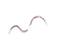 ZEBRA CABLE, CABLE, ASSEMBLY, DC CHARGE, CRADLE, ASTERIX