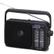PANASONIC RF-2400DEG-K schwarz F-FEEDS