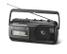 PANASONIC RX-M40DE-K schwarz F-FEEDS