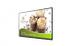 BENQ 43_ ST430K_ D-LED_ 3840x2160_ 380nits_ Högtalare_ LAN_ Android OS_ Mediasp_ X-sign
