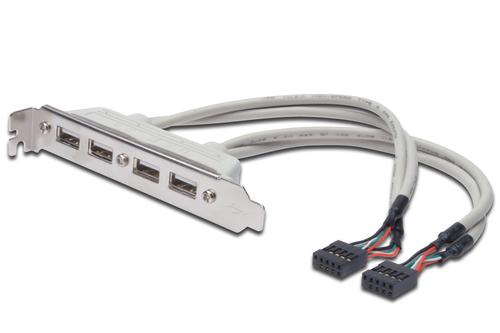 DIGITUS Slotblech DIGITUS 4x USB2.0 Ports 0.25m (AK-300304-002-E)