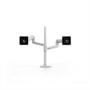ERGOTRON LX DUAL STACKING ARM TALL POLE BWT (45-509-216)