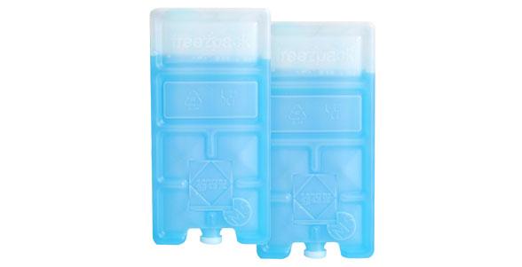 Campingaz cooling element FreezPack 2x M5 - 39040 (39040)