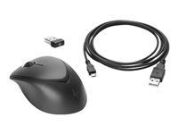 HP Wireless Premium Mouse (1JR31AA#AC3)