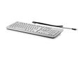 HP Usb Business Slim Grey Kb I (911503-L31)