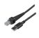 HONEYWELL All Cables Cables, Cable: RS232 (5V signals), NCR 787x, black, 8 pin modular, 3m (9,8-), straight, external power with option for 5V host power on pin 1