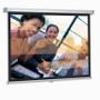 PROJECTA SlimScreen 200x200 cm. Matte White S  , 1:1 format (10200064)